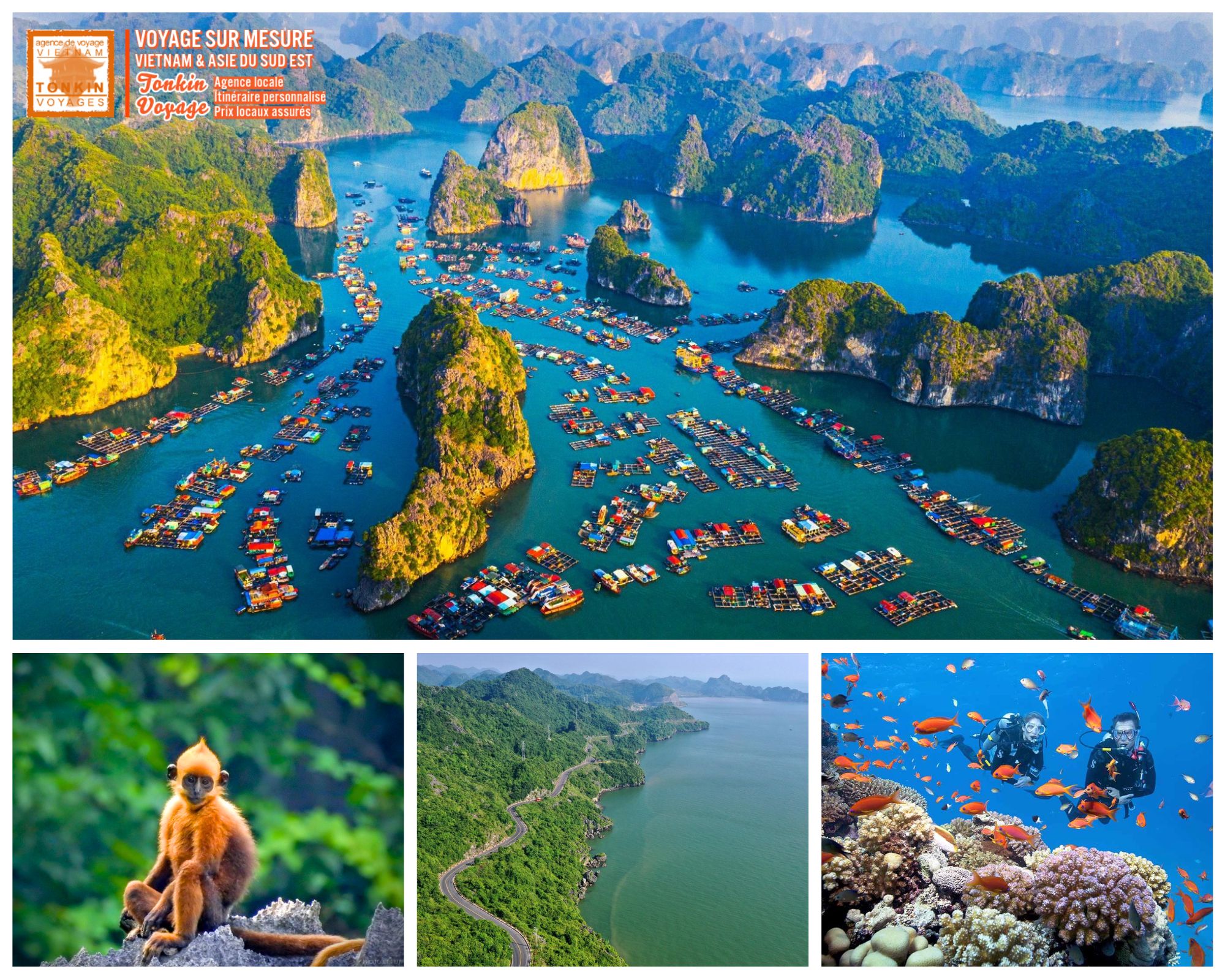 O&ugrave; faire un voyage naturaliste au Vietnam ?