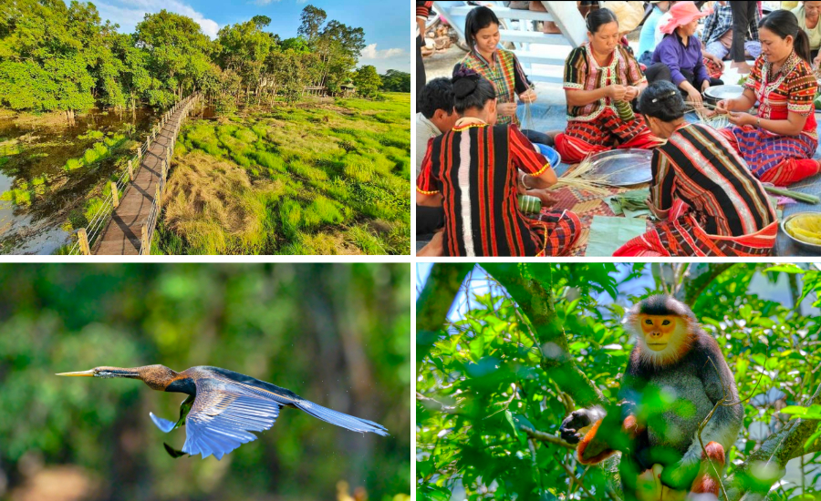 pars nationaux au sud du Vietnam Nam Cat Tien