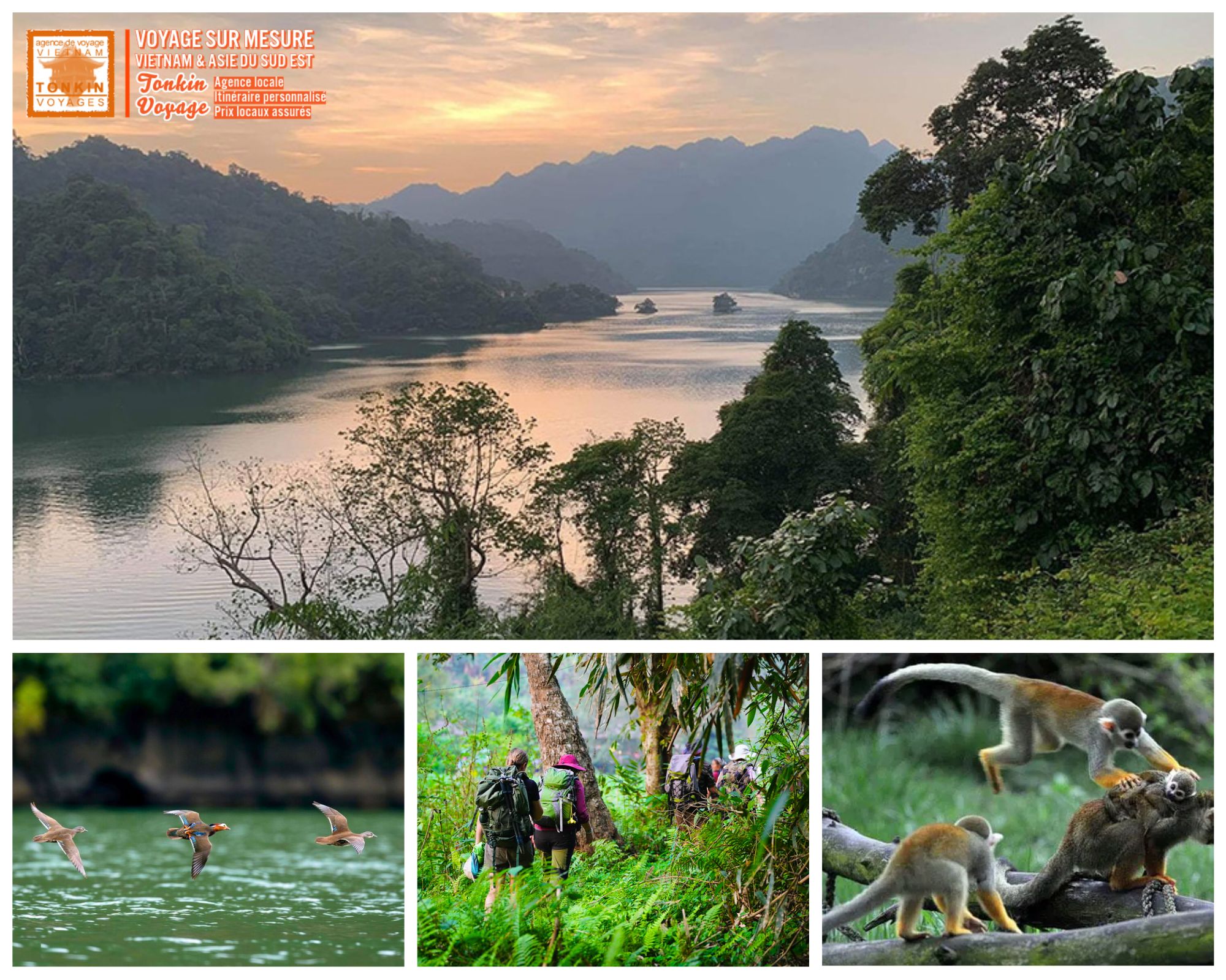 Voyage naturaliste au Vietnam : au c&oelig;ur de la biodiversit&eacute; sauvage