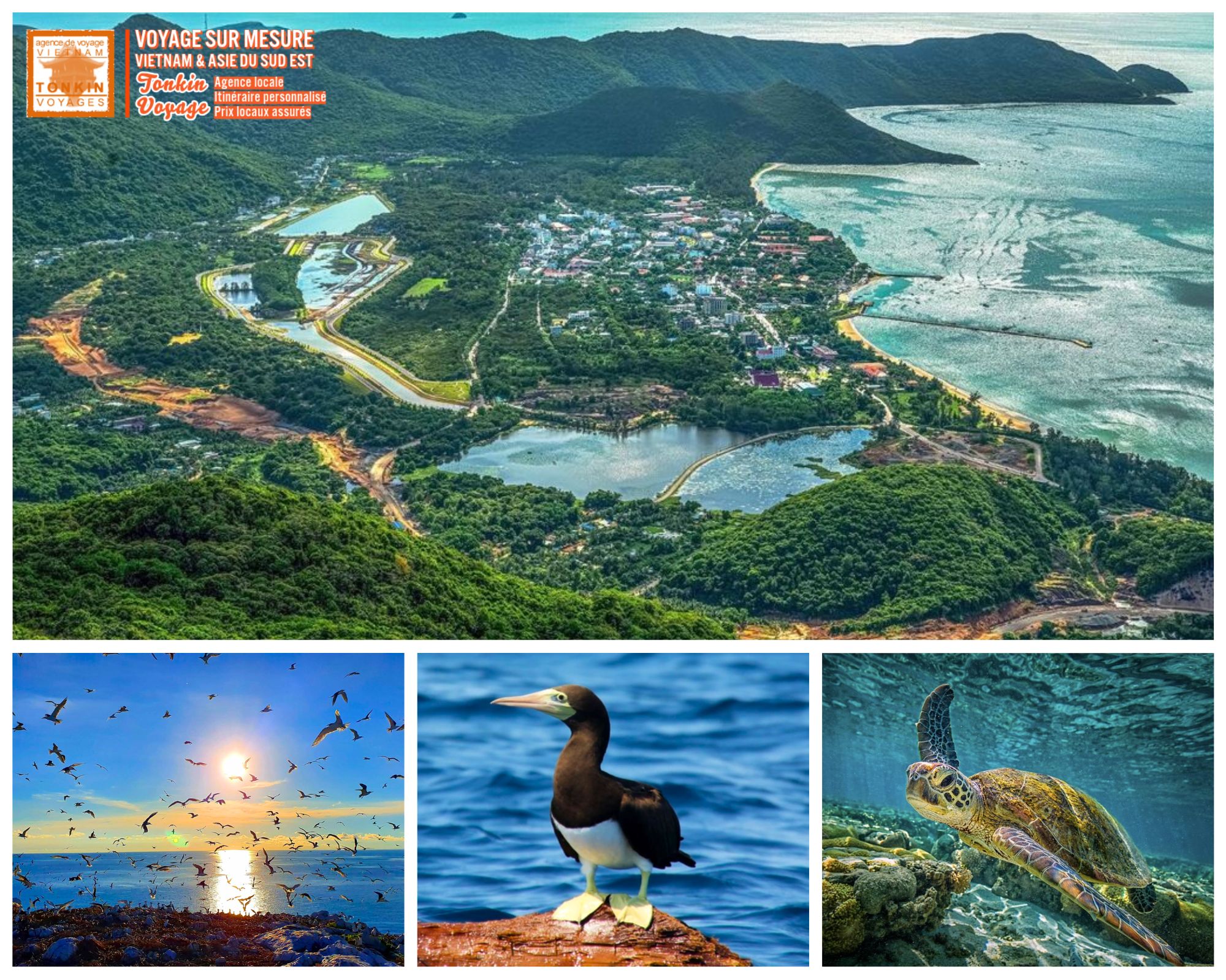 Voyage naturaliste au Vietnam : faune sauvage et biodiversit&eacute;