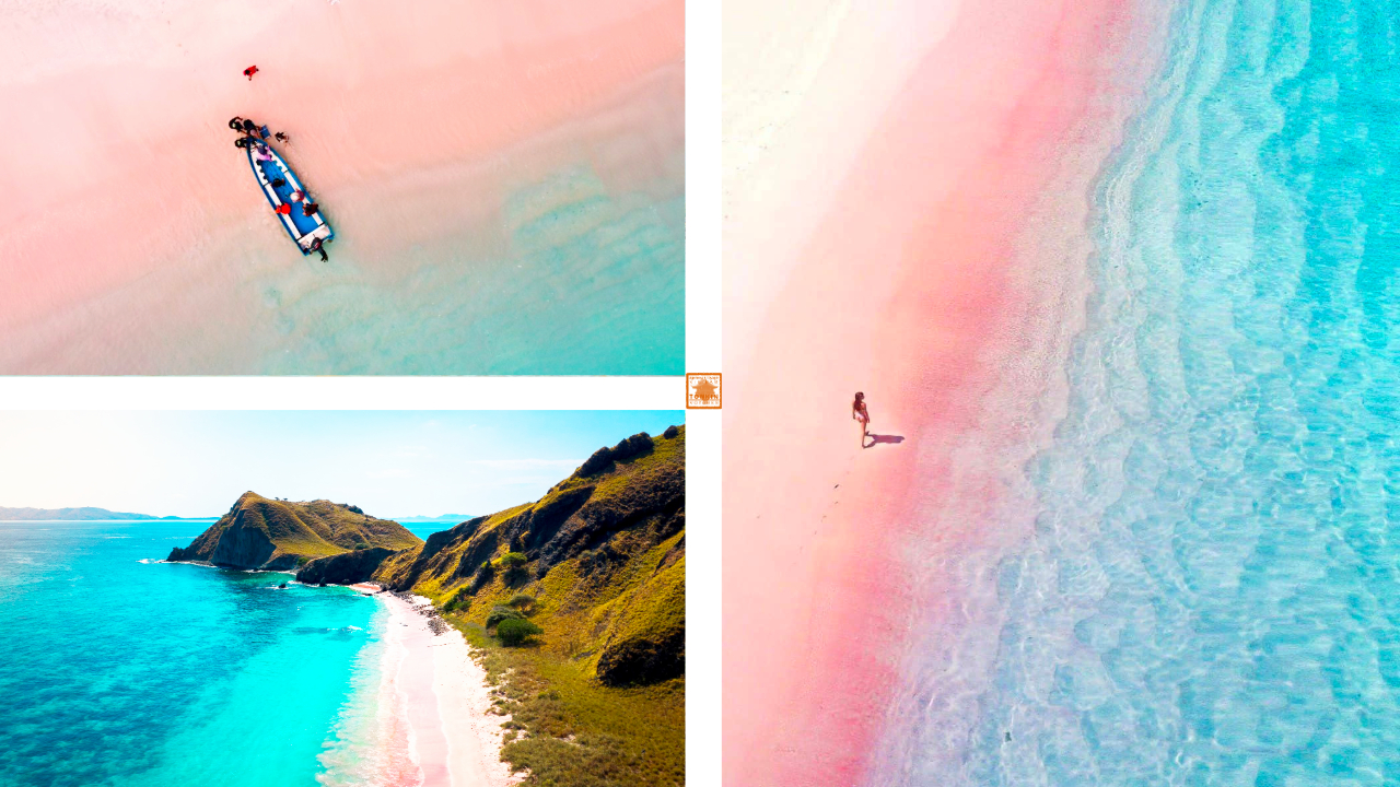 Les plus belles iles d'asie du sud est Indonesie Komodo