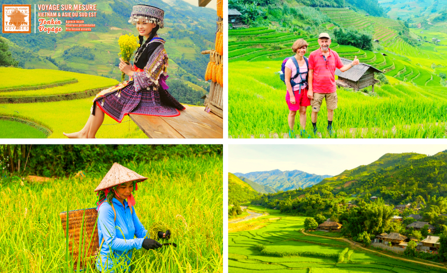 Voyage au Nord Vietnam en octobre et novembre : quelle site choisir