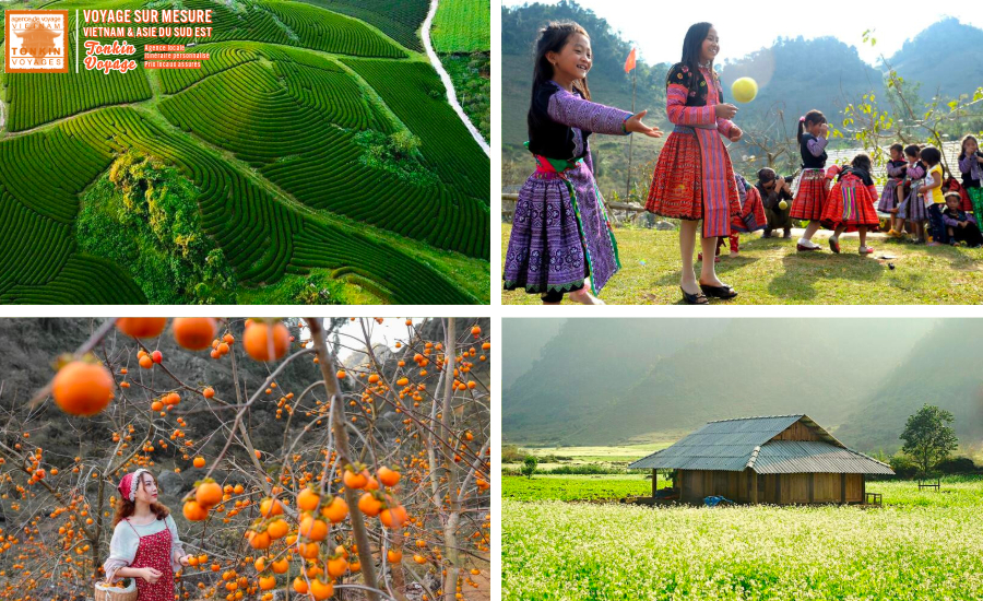 Nord Vietnam en Octobre et Novembre Itin&eacute;raire par l'agence Tonkin Voyage