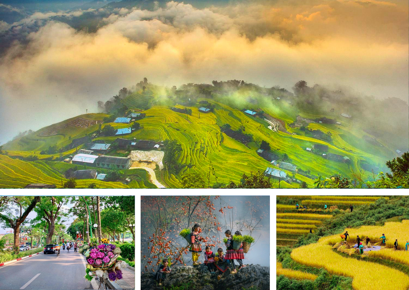 Meilleure p&eacute;riode pour voyager au Vietnam choix du nord ou du sud