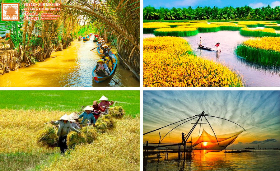 Choisir le nord ou le sud du Vietnam au niveau du climat 