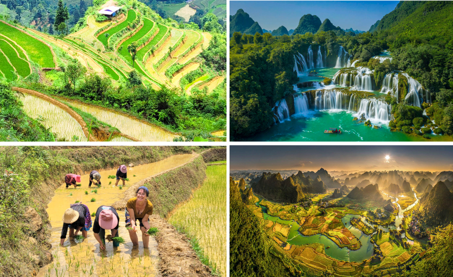 R&eacute;server un voyage complet au Vietnam avec une agence locale ou des escapades seulement