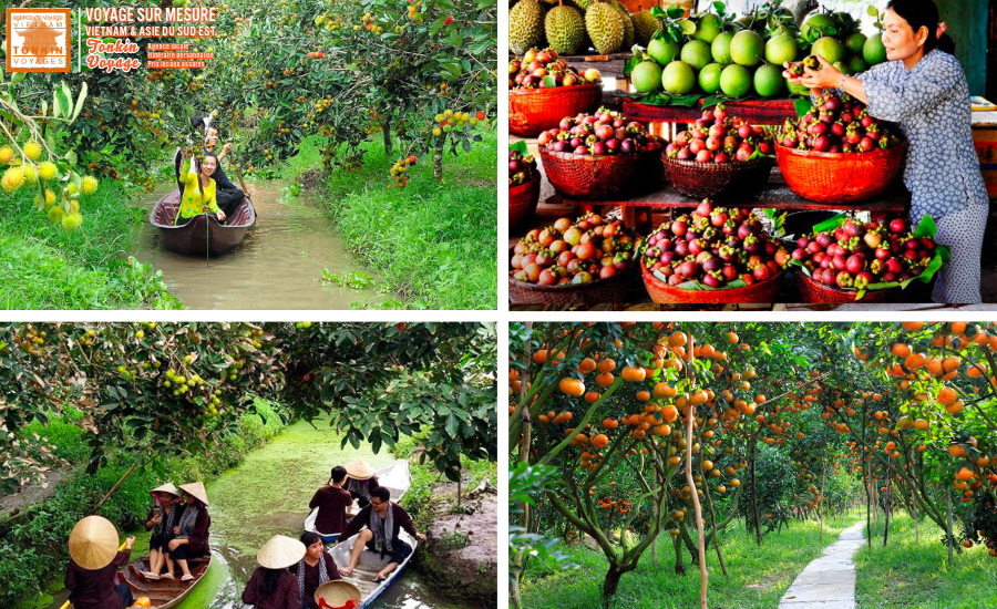 Agrotourisme au Vientam cueillir et deguster les fruits dans les vergers du delta du M&eacute;kong avec l'agence locale Tonkin Voyage