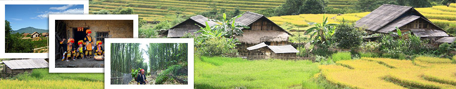 L'ethnie Dao au nord du Vietnam