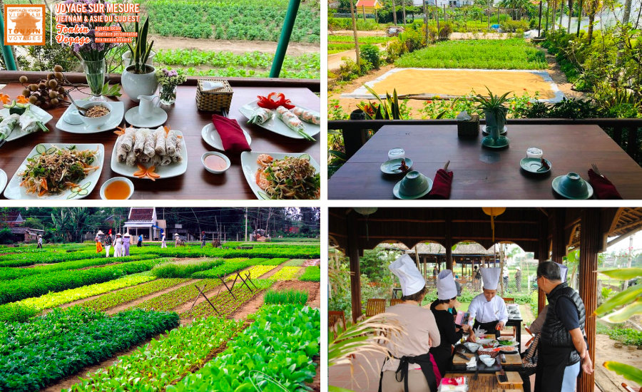 Voyage culinaire au Vientam meilleures adresses &agrave; choisir du nord au sud